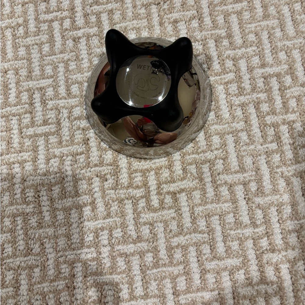 Wet Noz extra small pet bowl.  Elevated stainless steel